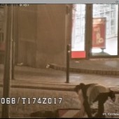 Sprawca usunięcia znaku drogowego ujęty…