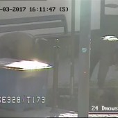 Sprawcy kradzieży kwiatów ujęci ...